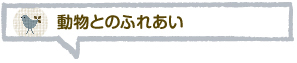 動物とのふれあい